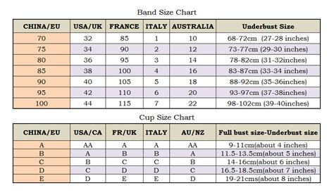 bra size in india